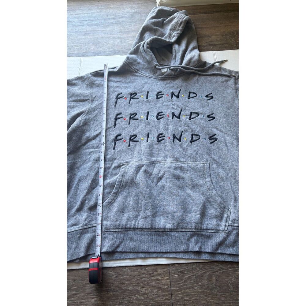 H&M x Warner Bros Friends Hoodie Gray Embroidered Logo L.O.G.G. XL
